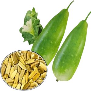Bottle Gourd Lovely Bangladeshi Lau fruit and seeds – Organic heirloom Non-GMO calabash vegetable
