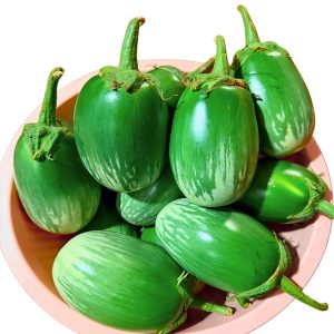 Fresh Green Ball Brinjal (Eggplant) harvest featuring smooth green oval fruits with natural white striping