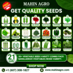 50 Vegitables Seeds Variety Pack Bangladeshi Vegitables