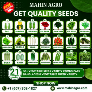 50 Vegitables Seeds Variety Pack Bangladeshi Vegitables