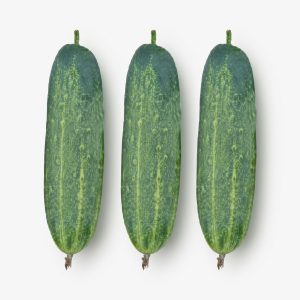 Fresh Cucumber Banolota cucumbers with smooth green skin, ideal for slicing, salads, and home gardening.