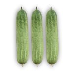 Fresh Cucumber Profit-2 cucumbers with smooth light green skin, ideal for slicing, salads, and home gardening.