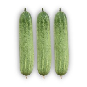 Fresh Cucumber Profit-2 cucumbers with smooth light green skin, ideal for slicing, salads, and home gardening.