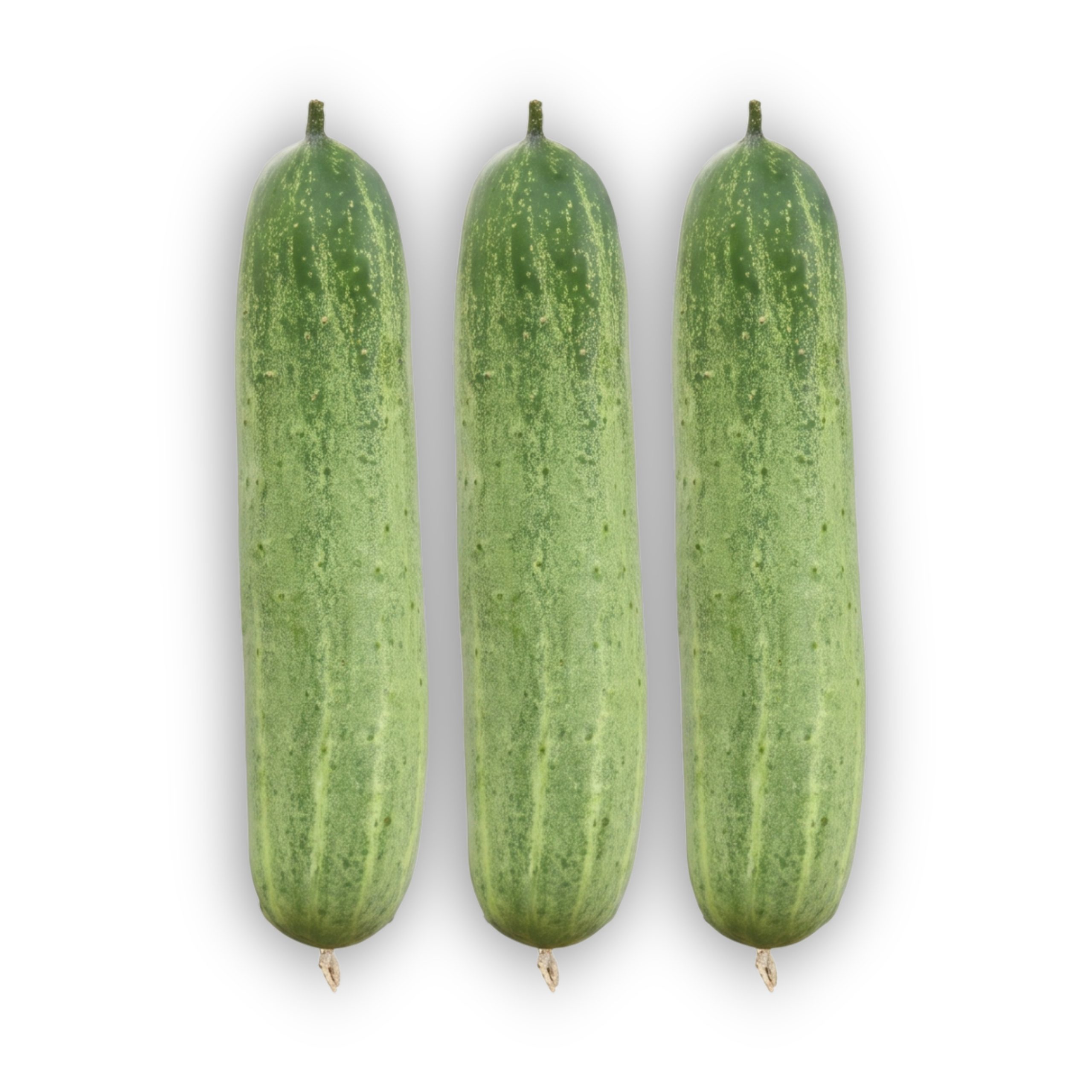 Fresh Cucumber Profit-2 cucumbers with smooth light green skin, ideal for slicing, salads, and home gardening.