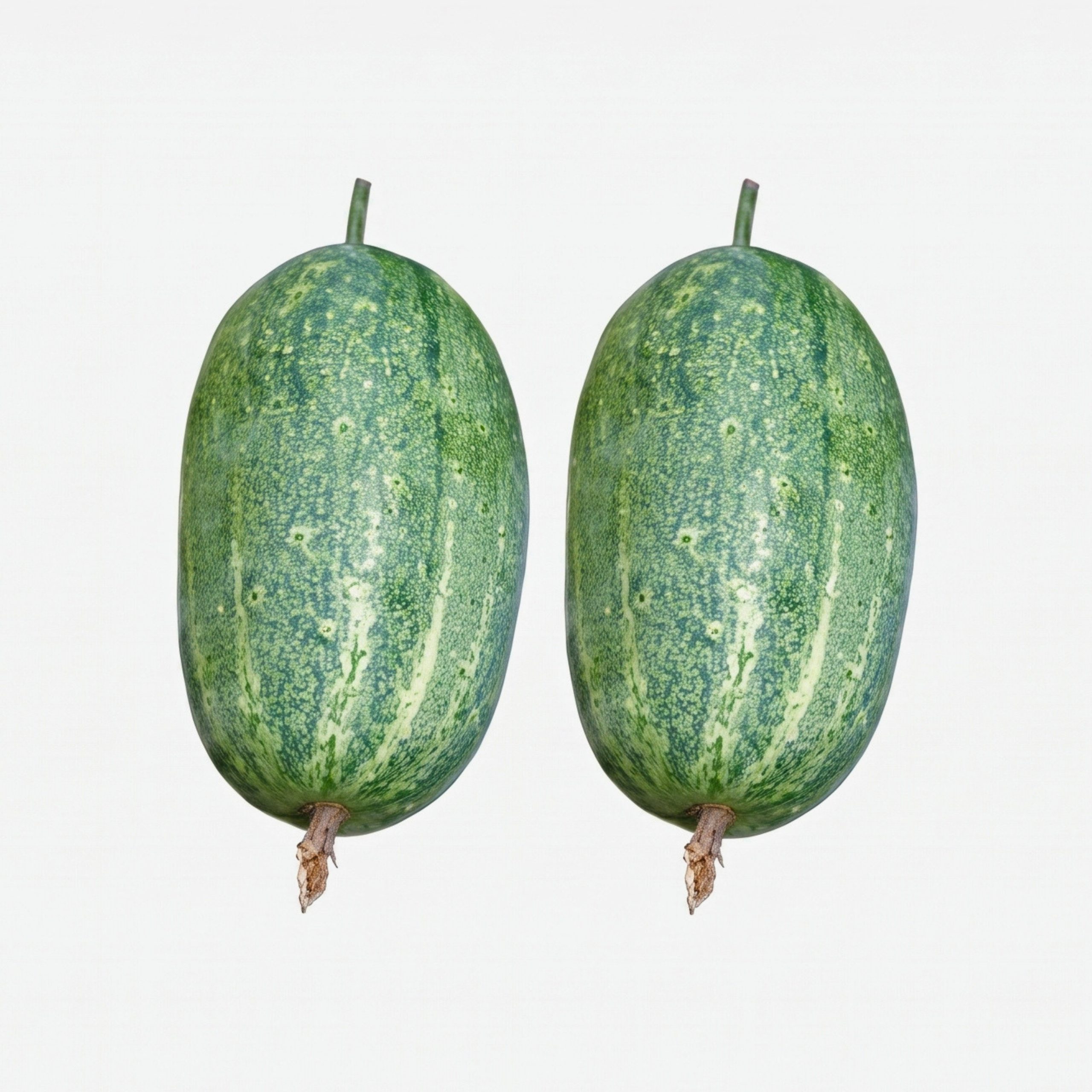 Two fresh Cucumber (Khira) Naogan-5 cucumbers with smooth deep green skin isolated on a white background.