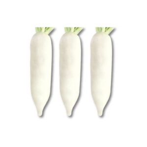 Sangu White Radish Seeds