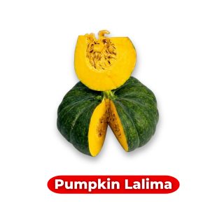 Pumpkin Lalima Seeds (Cucurbita maxima) producing large deep green pumpkins with non-spotted skin, high BRIX variety for home gardens and farms in the USA.