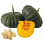 Pumpkin Maxima Seeds premium heirloom style pumpkin with orange flesh