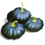 Maxima Pumpkin Seeds