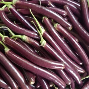 Brinjal Seeds – Profit Raj For Planting 1 gram Seeds
