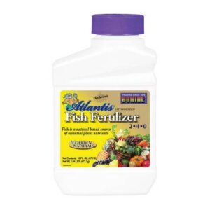 Bonide Atlantis Fish Fertilizer