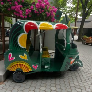 Mini Baby Taxi CNG - Metal