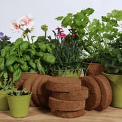 Coir 100g Disc x 10 Pack - Growlite Premium - Image 3