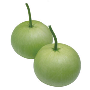 ⁠Bottle Gourd || Light Queen Round Bottle Gourd Seeds