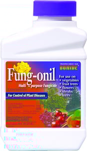 Bonide Fungnoil Conc PT
