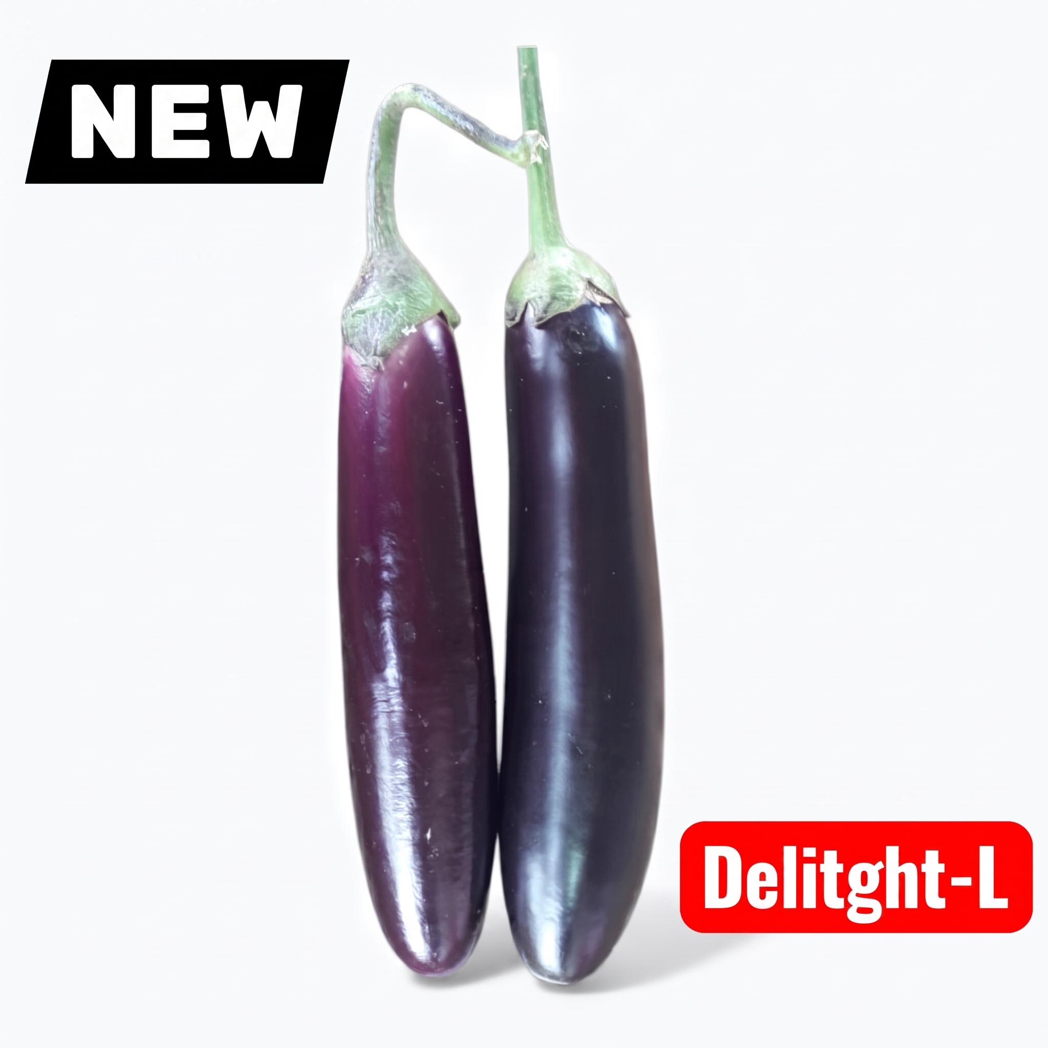 Premium Eggplant Delight-L Seeds producing uniform long purple eggplants with smooth skin for raised beds, backyard gardens, and commercial cultivation