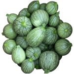 Round Zucchini Seeds