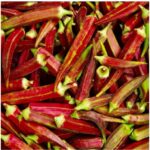 Red burgundy okra pods heirloom variety