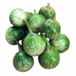 Thai round eggplant green striped fruit