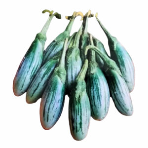 Thai Rugby eggplant striped green fruits