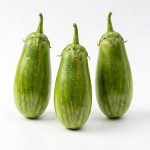 Brinjal Alrounder Hybrid Seeds producing healthy light green striped eggplants growing on vigorous plants in a productive home vegetable garden