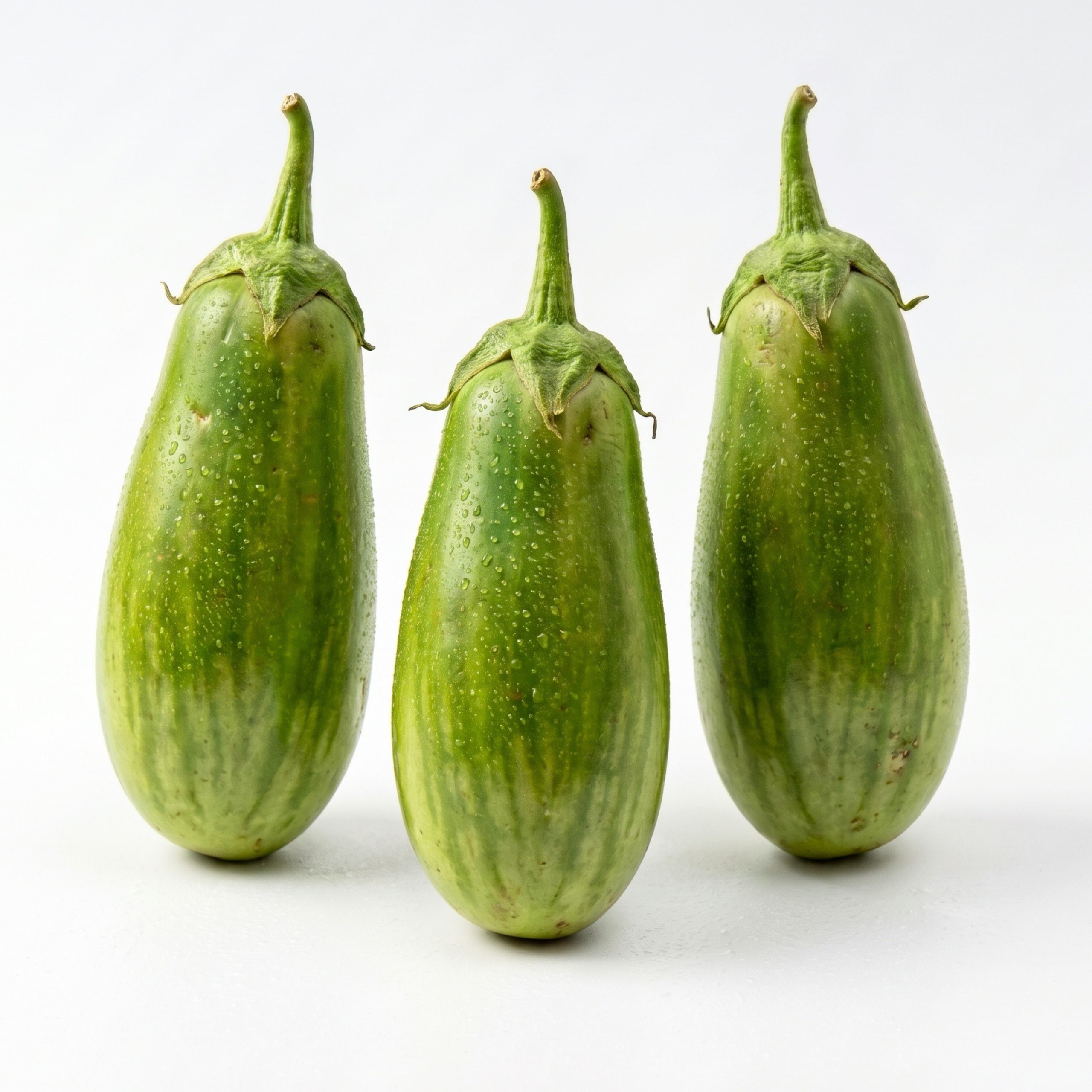 Brinjal Alrounder Hybrid Seeds producing healthy light green striped eggplants growing on vigorous plants in a productive home vegetable garden