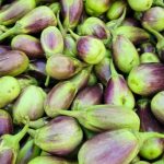 Brinjal Shayola Variety Seeds producing thin skinned Bangladeshi eggplant with green and purple blush fruits