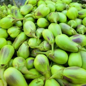 Shayola brinjal seeds authentic Bangladeshi Natore eggplant variety