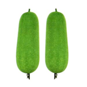 Wax Gourd Taj Hybrid Seeds winter melon variety with smooth shiny green fruits for planting in USA home gardens