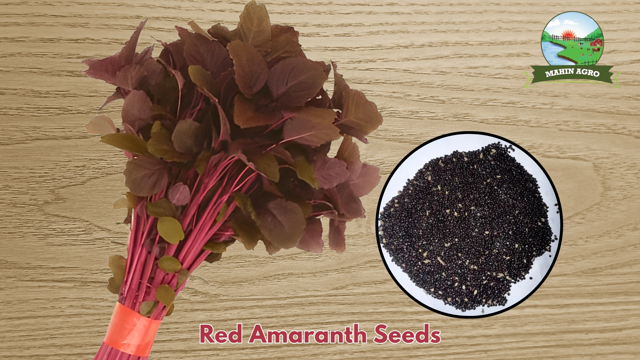 Fresh Red Amaranth Lal Shak bunch (Amaranthus tricolor)