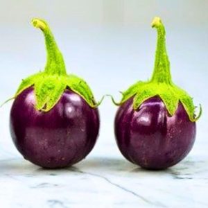 eggplant thai purple round ball seeds with shiny purple fruits, solanum melongena purple brinjal vegetable plant