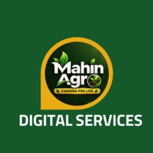 Digital Services