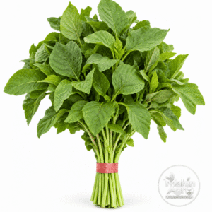 Green Super amaranth bundle with green leaves and stems on a white background