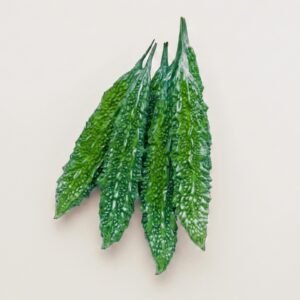 Bitter Gourd Green Arrow Seeds | Premium Deep Green Bitter Melon (Bitter Gourd) Seeds for Home Gardens & Farm