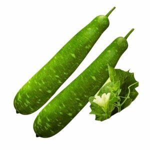 Bottle Gourd (Calabash) Seeds – Long Green Variety | Bangladeshi / Indian Lau Seeds | Lagenaria Siceraria Non-GMO F1 Hybrid Vegetable Seeds