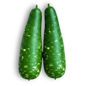 Bottle Gourd Dark Green Seeds | Non-GMO White Spotted Calabash | Lagenaria Siceraria Seeds for Home Garden