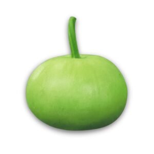 Bottle Gourd - Round Pomelo Seeds – Non-GMO Heirloom Calabash (Lagenaria siceraria) | Indian / Bangladeshi Lau | High Yield Bottle Gourd - Round Pomelo for Home Garden & Trellis Growing