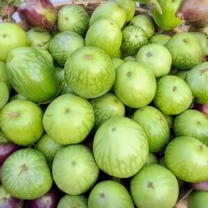 Brinjal Noyonkajol Organic Seeds | Bangladeshi Heirloom Eggplant Seeds | Large Green Deshi Begun for USA Home Gardens | HYV 1 Gram Seeds