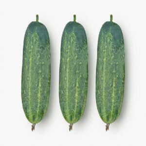 Cucumber Banolota Seeds | Non-GMO Early High-Yield Green Slicing Cucumber for Home Gardens & Farms