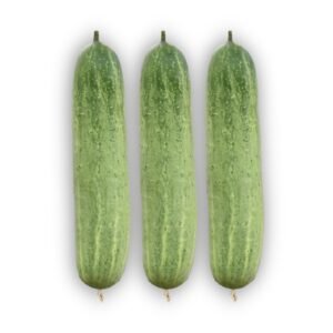 Cucumber Profit-2 Seeds | Non-GMO Early High-Yield Light Green Slicing Cucumber for Home Gardens & Farms | Mahin Agro