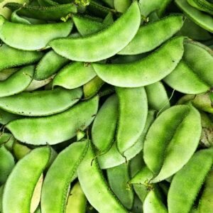 Ipsa-2 Hyacinth Bean Seeds –HYV Variety – Flat Green Pods –  Country Bean | Lablab Purpureus Bangladeshi / Indian Vegetable Seeds