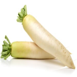 Radish Seeds | Japanese Minowase Daikon | Heirloom Long White Radish for Fall & Winter Gardens