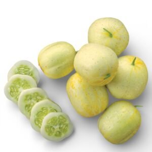Lemon Cucumber Seeds – Organic Heirloom Round Yellow Cucumber (Cucumis sativus)