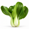 Mahin Agro Pak Choi (Bati Shak) Bari-1 seed packet, front view