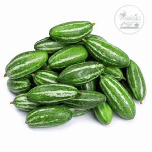 Harvested pointed gourd (Potol) fruits with pale green stripes on a white background
