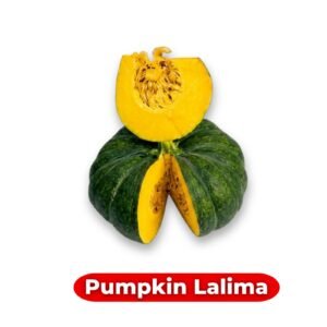 Pumpkin Lalima Seeds | Cucurbita maxima Deep Green Sweet Pumpkin | High-Yield, High-BRIX Sweet Variety for Home Gardening