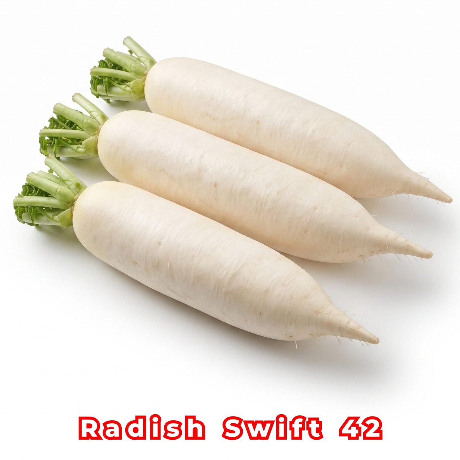 Radish Swift 42 Seeds | Raphanus sativus Seeds | White Daikon