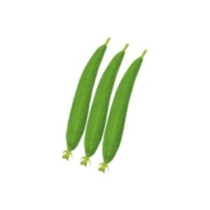 Sponge Gourd Seeds – Chamak For Planting