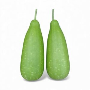 Bottle Gourd || Hillary Bottle Gourd Seeds