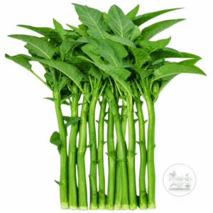 Edible green stem amaranth Sabuj Danta displayed against a white background